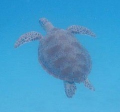 293110_10151042135653728_1776896161_n