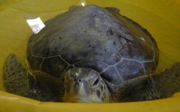 379181_10151391972848728_1049596413_n