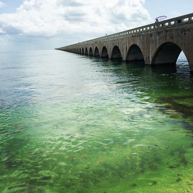 10431673_10152590067018728_7217326854468808042_n